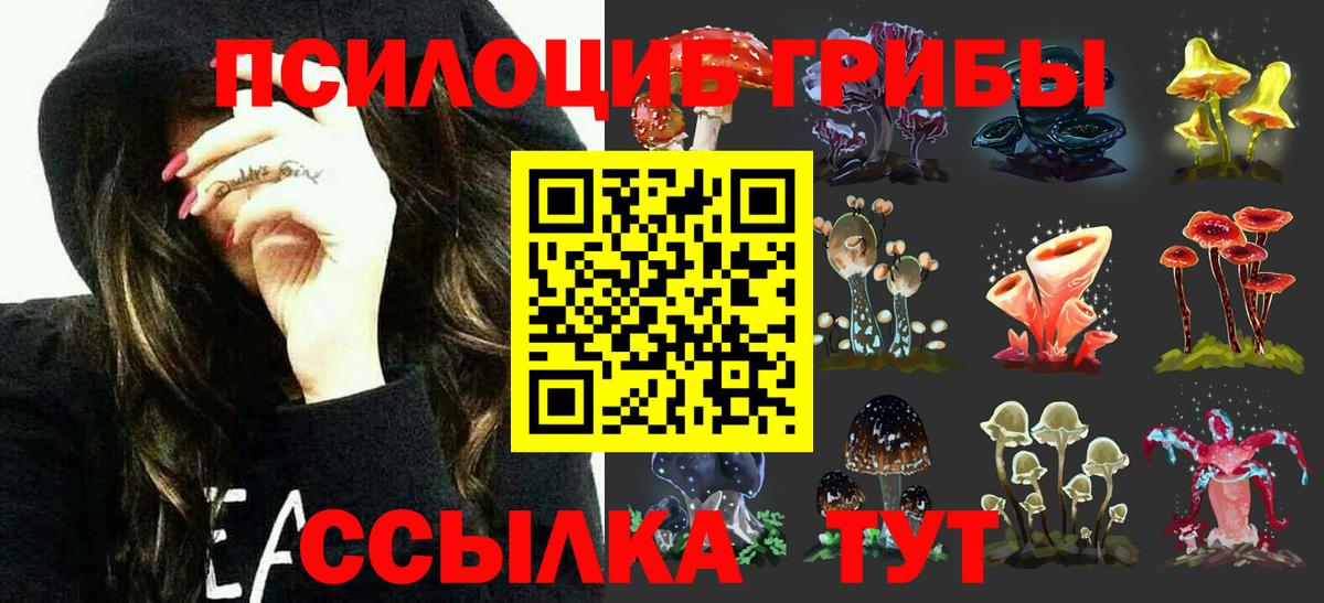 Псилоцибиновые грибы Psilocybe  Вход с VPN  Назрань 